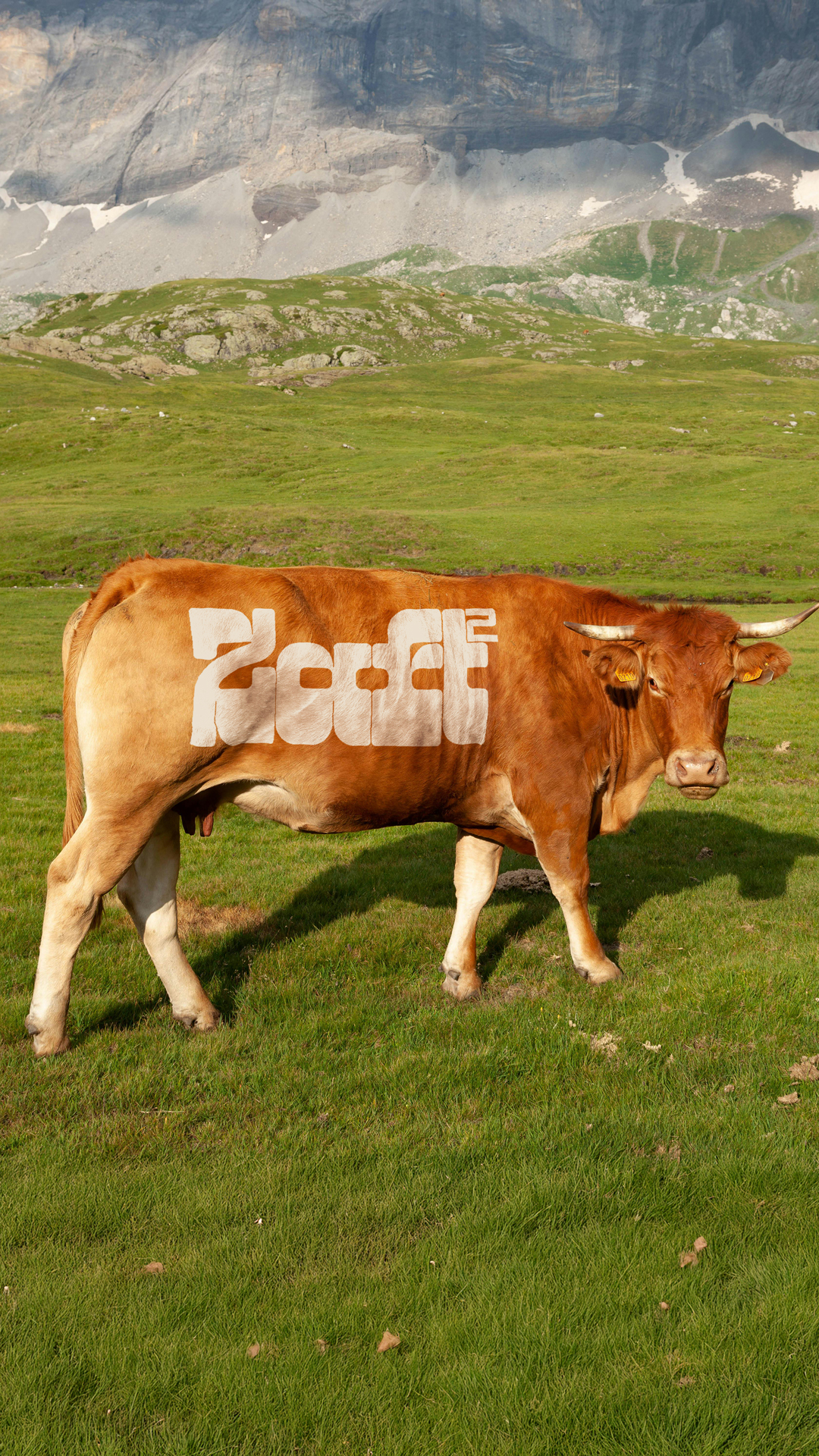 WiseType®, typeface: Zaft² (Hero, mobile)