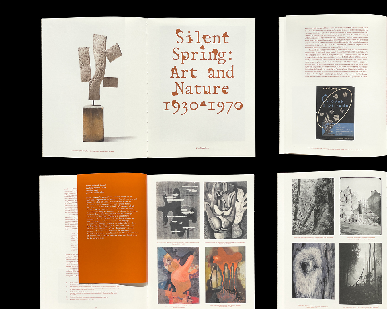 WiseType®, project: Mlćící Jaro – Silent Spring (Fig. 40)